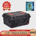 car lifepo4 battery